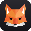 Fox安全机场VPN